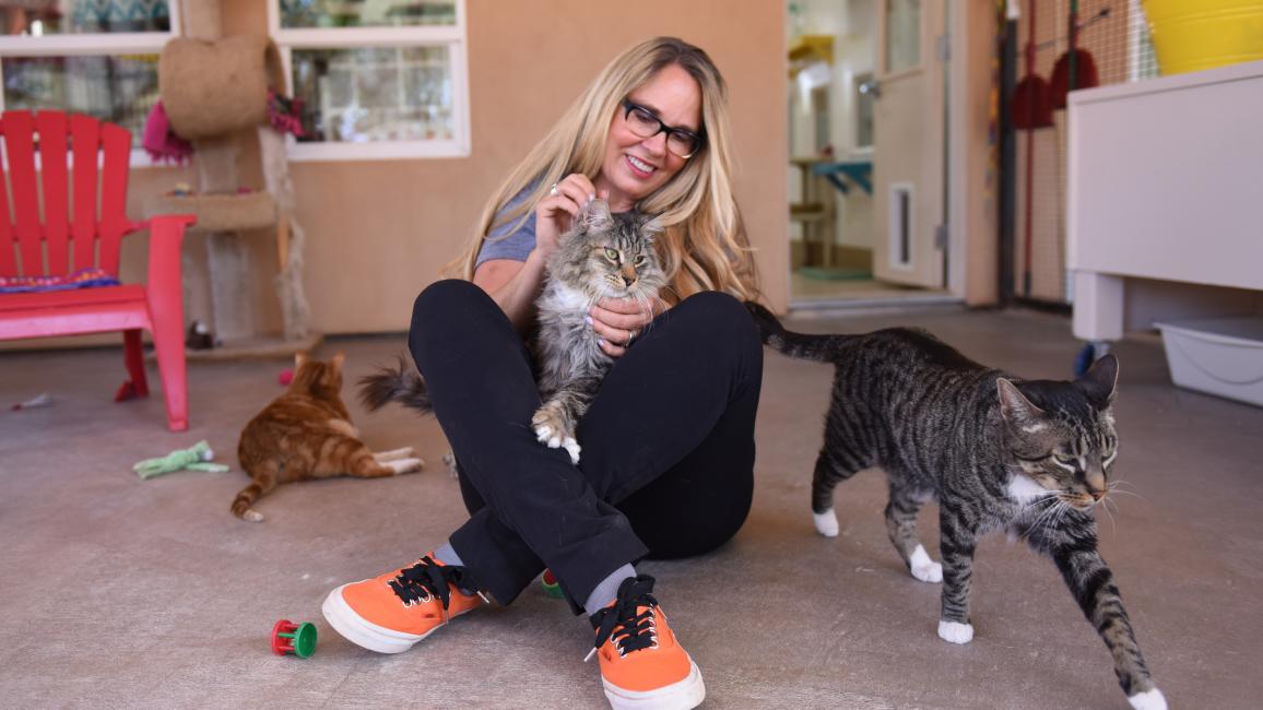 Best Friends CEO Julie Castle sitting on the floor with a cat in her lap and other cats around her